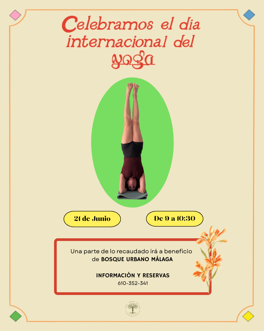 Yoga Iyengar y yoga aéreo para todos en Málaga, Salud, bienestar y relax