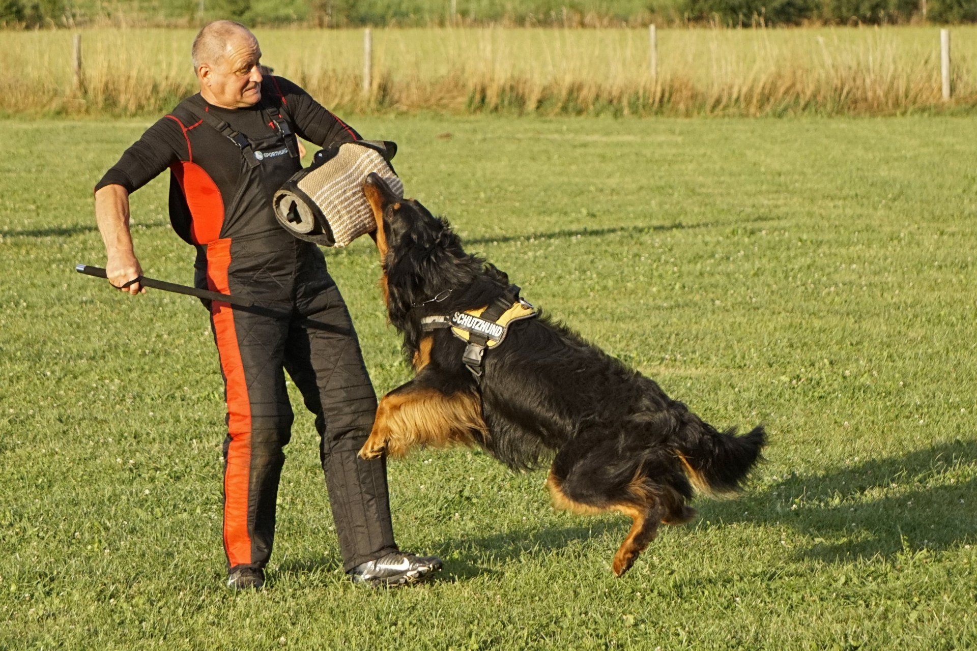 Photo mit fliegendem Hund nach Anbiss im Schutzdienst