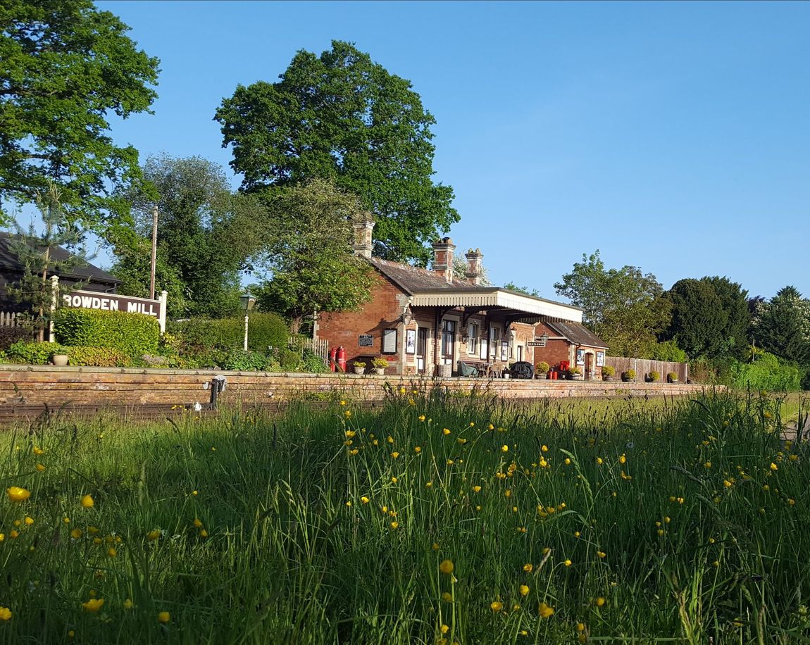 Rowden Mill Station, the meadow view