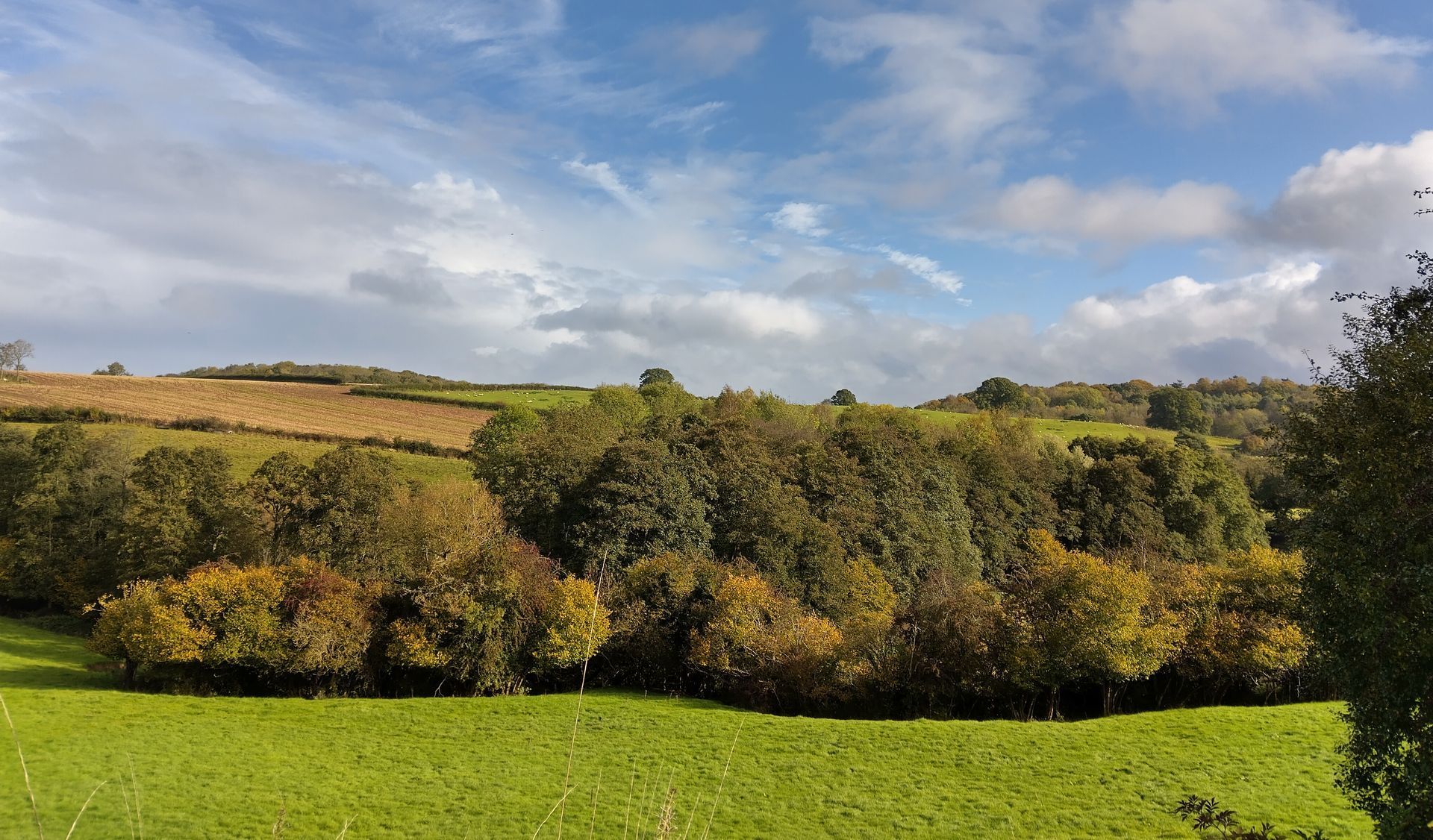 Peaceful countryside views from the station
