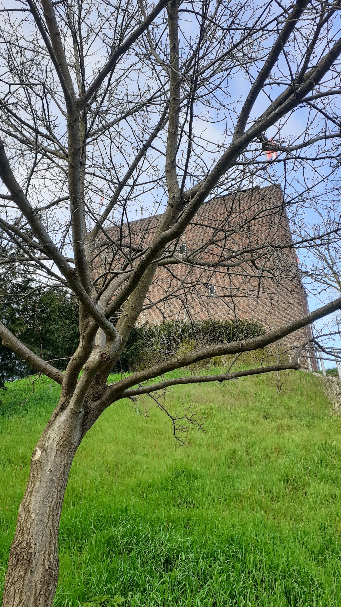Bergfried Wassenberg