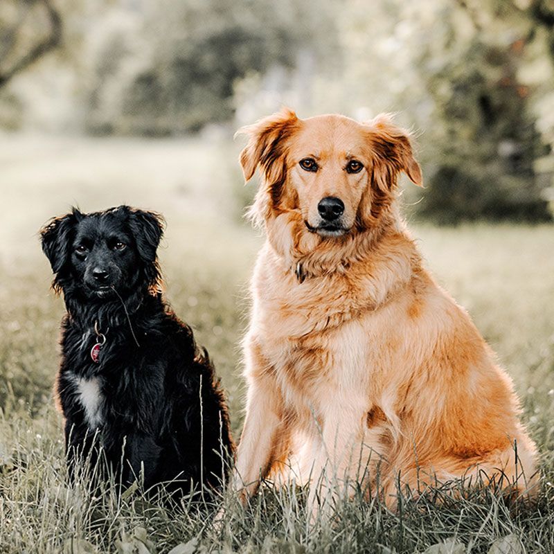 Aufnahmevoraussetzungen Aufnahmevoraussetzungen Huta Aschaffenburg