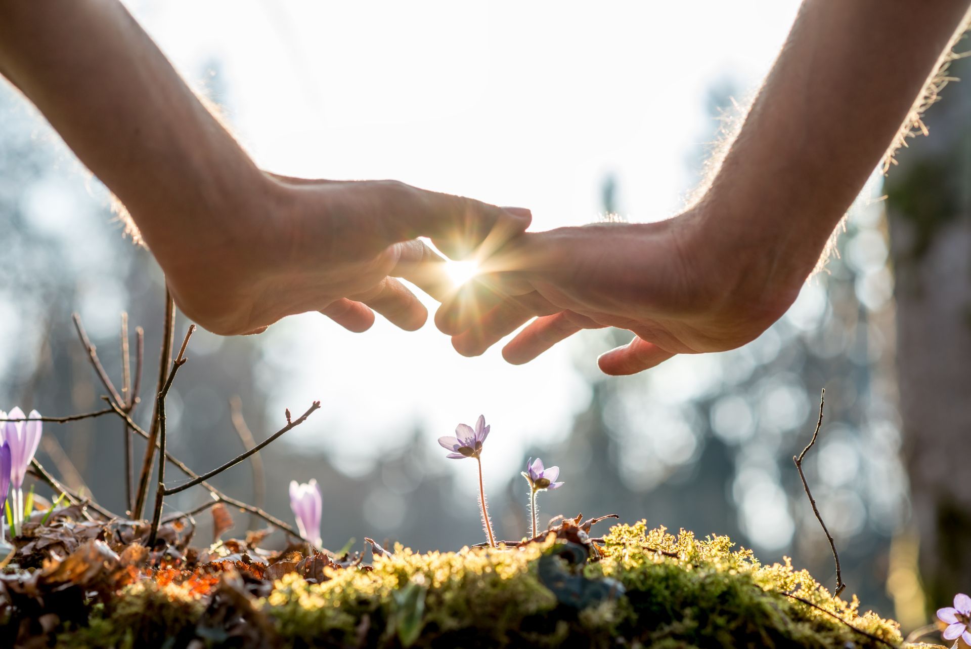 two people touching hands