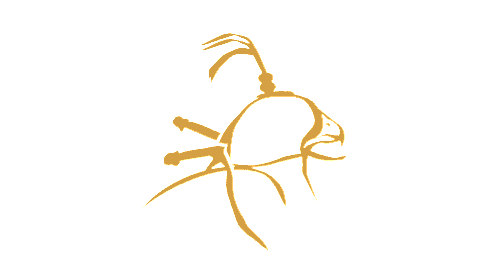 Carmarthenshire Falconry's Logo Carmarthenshire Falconry's Logo