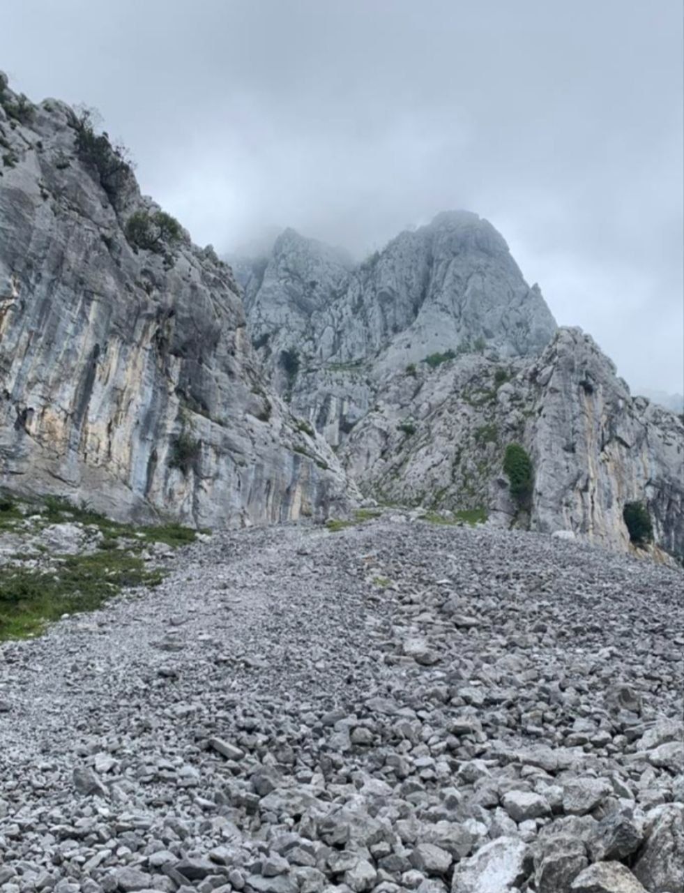Uztailak 5 julio