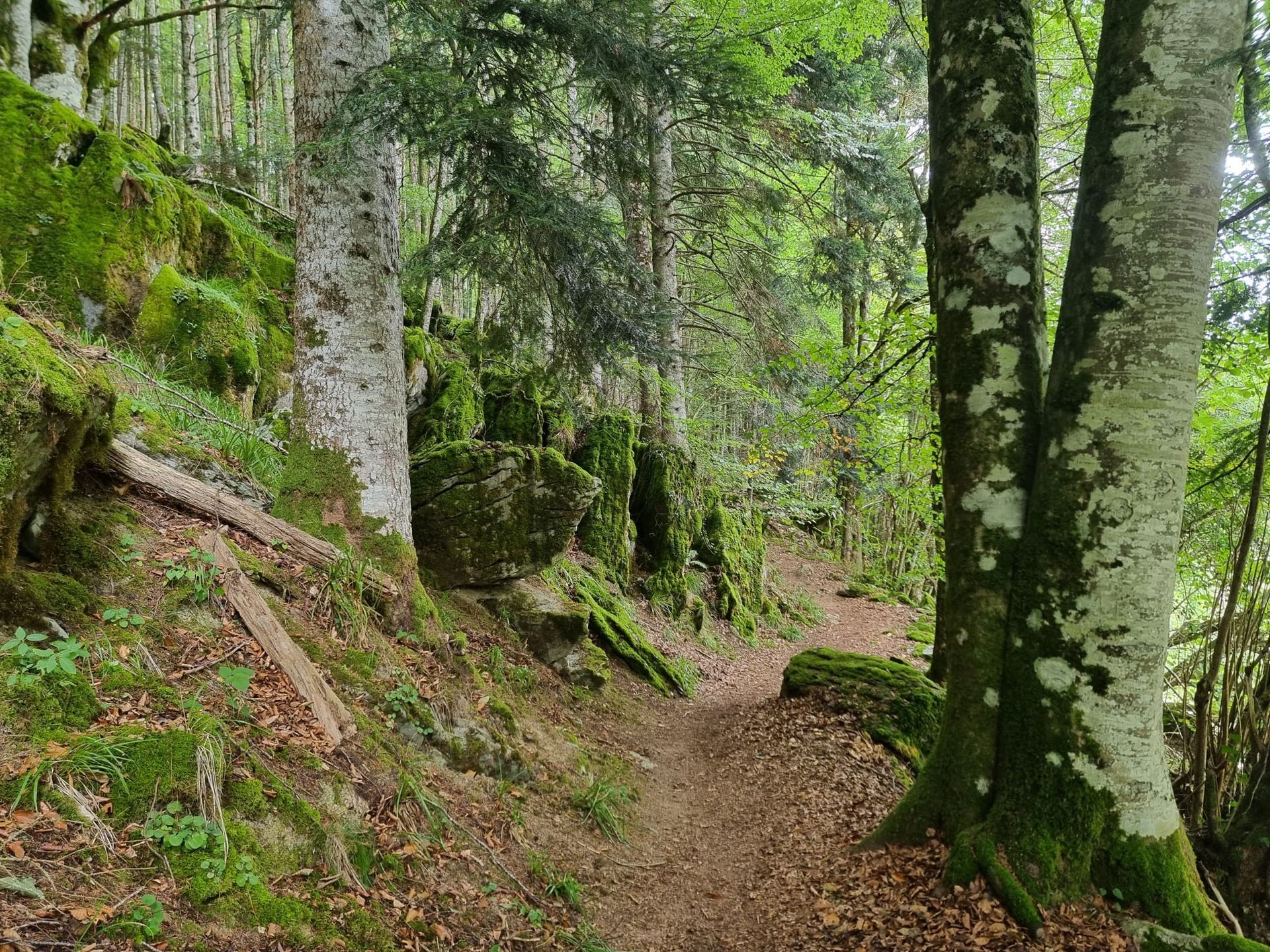 Azaroak 8-9 Noviembre