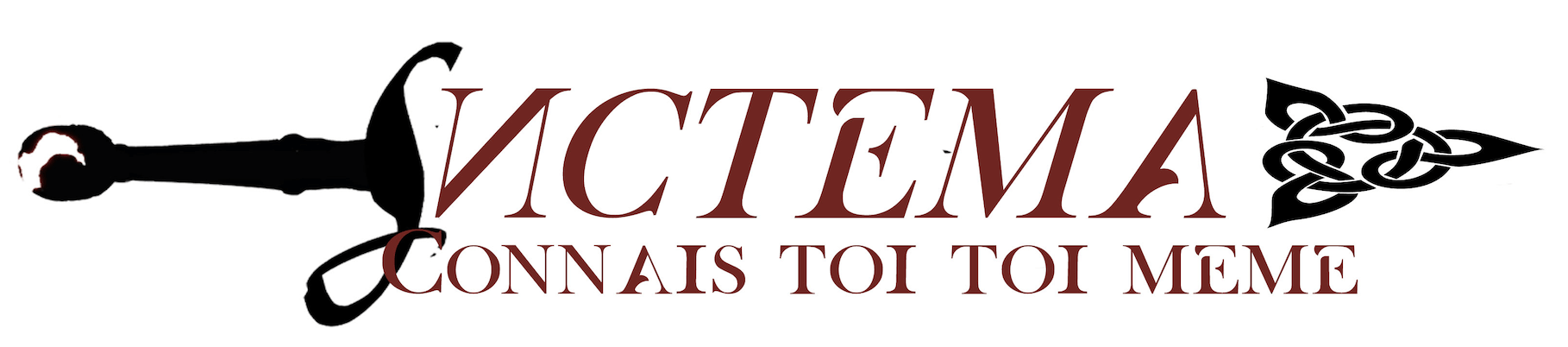 Systema Lyon Systema Lyon Logo