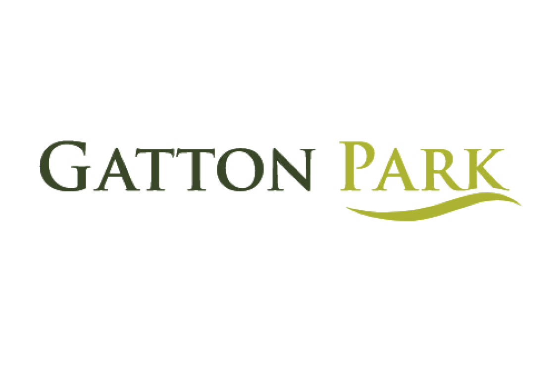 Run-Reigate-Canicross-Trail-Run-Series-Gatton-Park