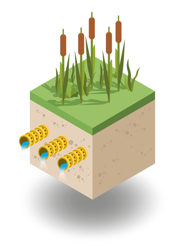 Filtre à sable végétalisé filtre à sable végétalisé