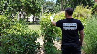 GIB Grünflächenpflege, GaLa, Hecke schneiden, Rasen mähen GIB Grünflächenpflege, GaLa, Hecke schneiden, Rasen mähen