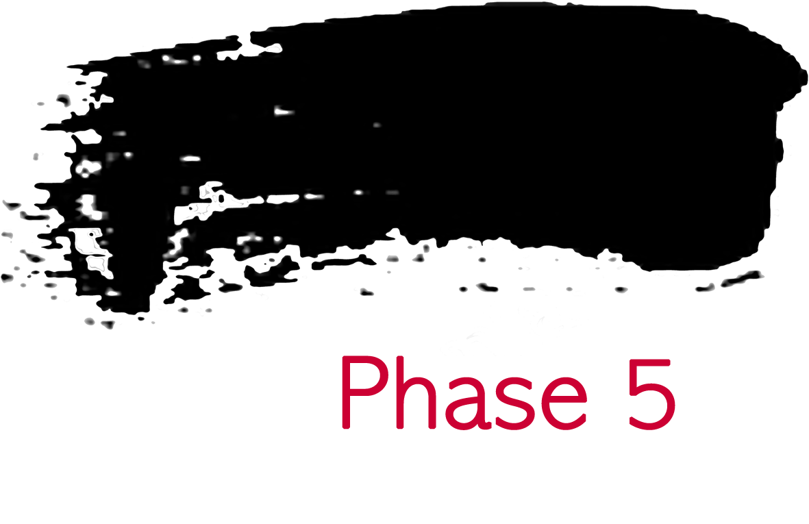 Consultare Pathfinder Projekt - Phase 5 - die Umsetzung - mit die spannenste Phase des Projektes.