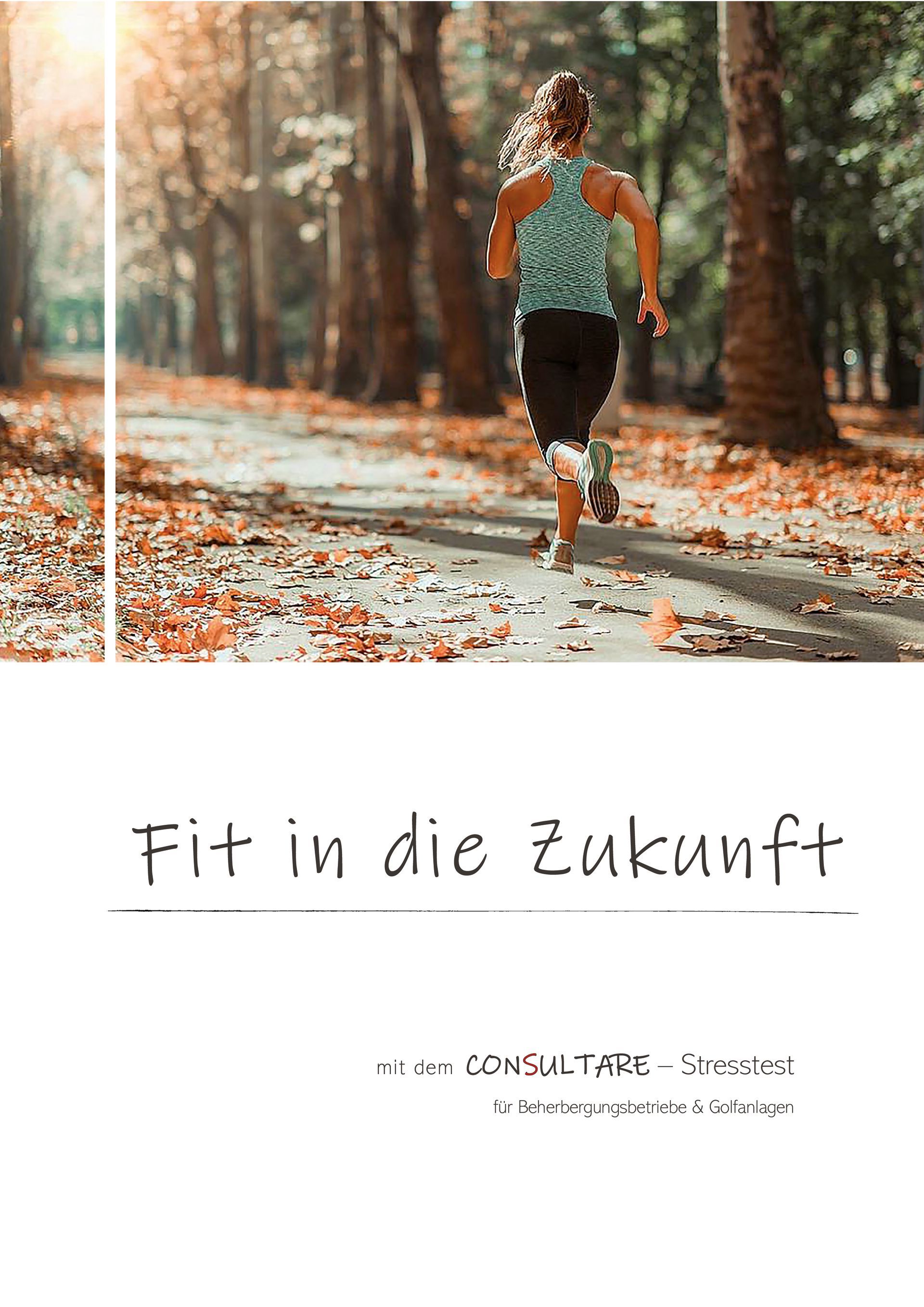 zum Download Stresstest Consultare Hotel Beherbergungsbetriebe