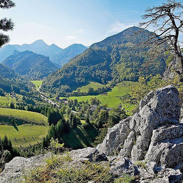 Consultare Unternehmensberatung und Hotel Consulting - Umsetzung Consultare Stresstest und Pathfinder Projekt, Finanzplanung