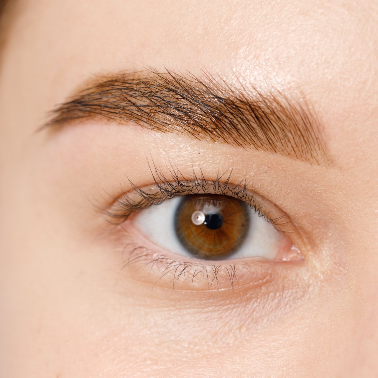 Browlifting Browlamination Augenbrauen