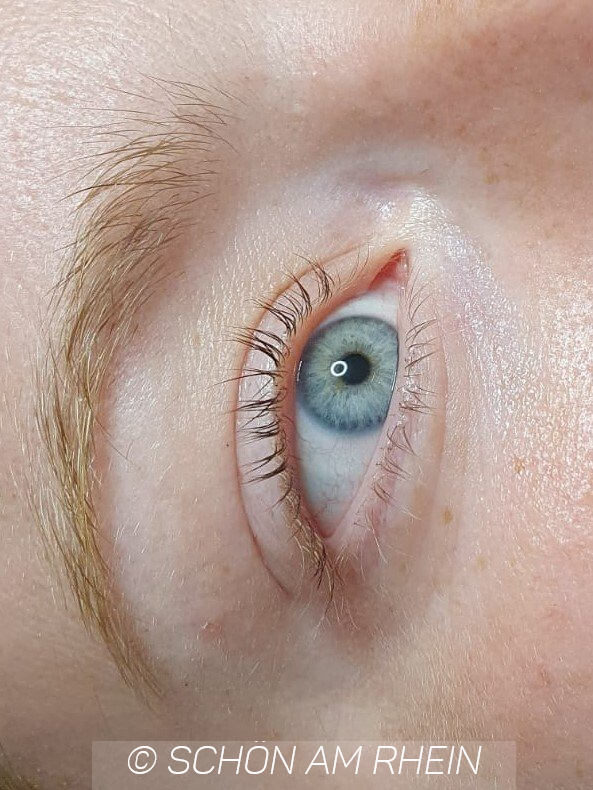 Wimpernlifting Lashlift vorher