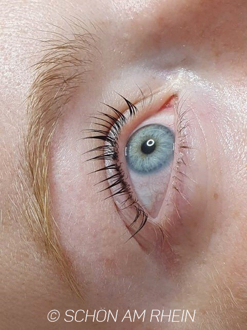 Wimpernlifting Lashlift nachher