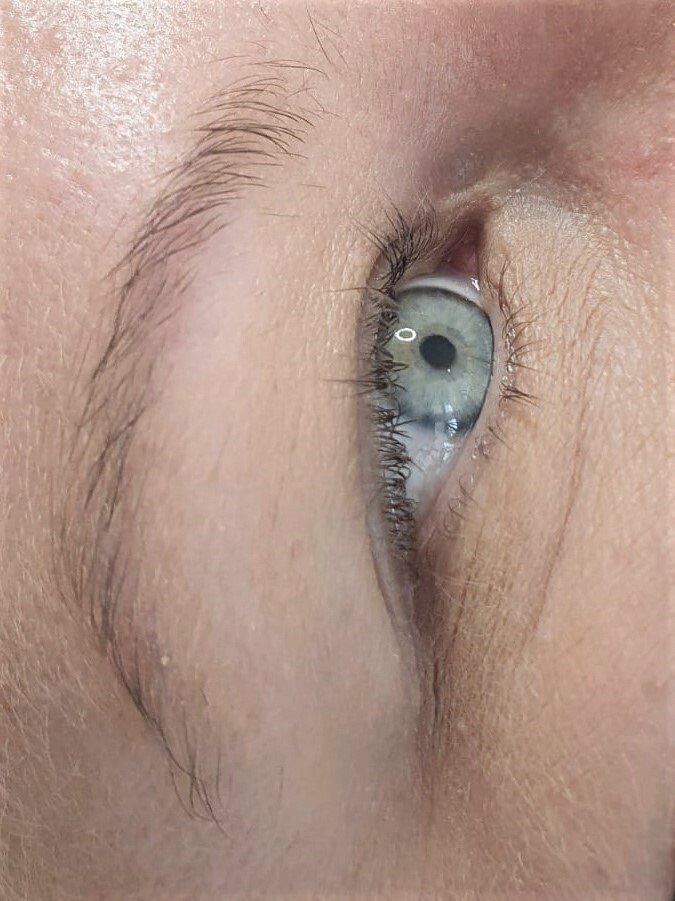 Wimpernlifting Lashlift Lashlifting vorher
