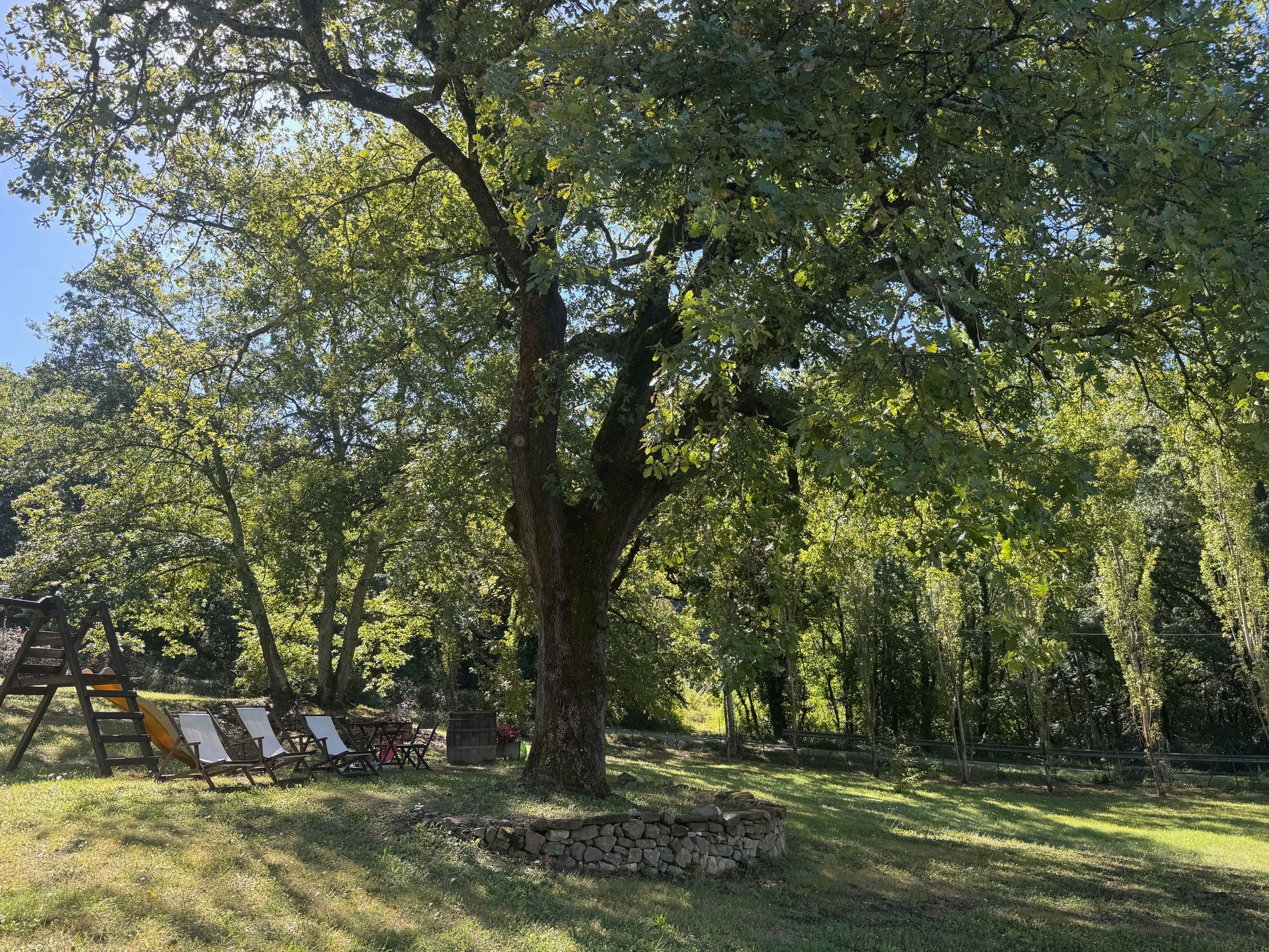 Spazio all'aperto con albero e sedie