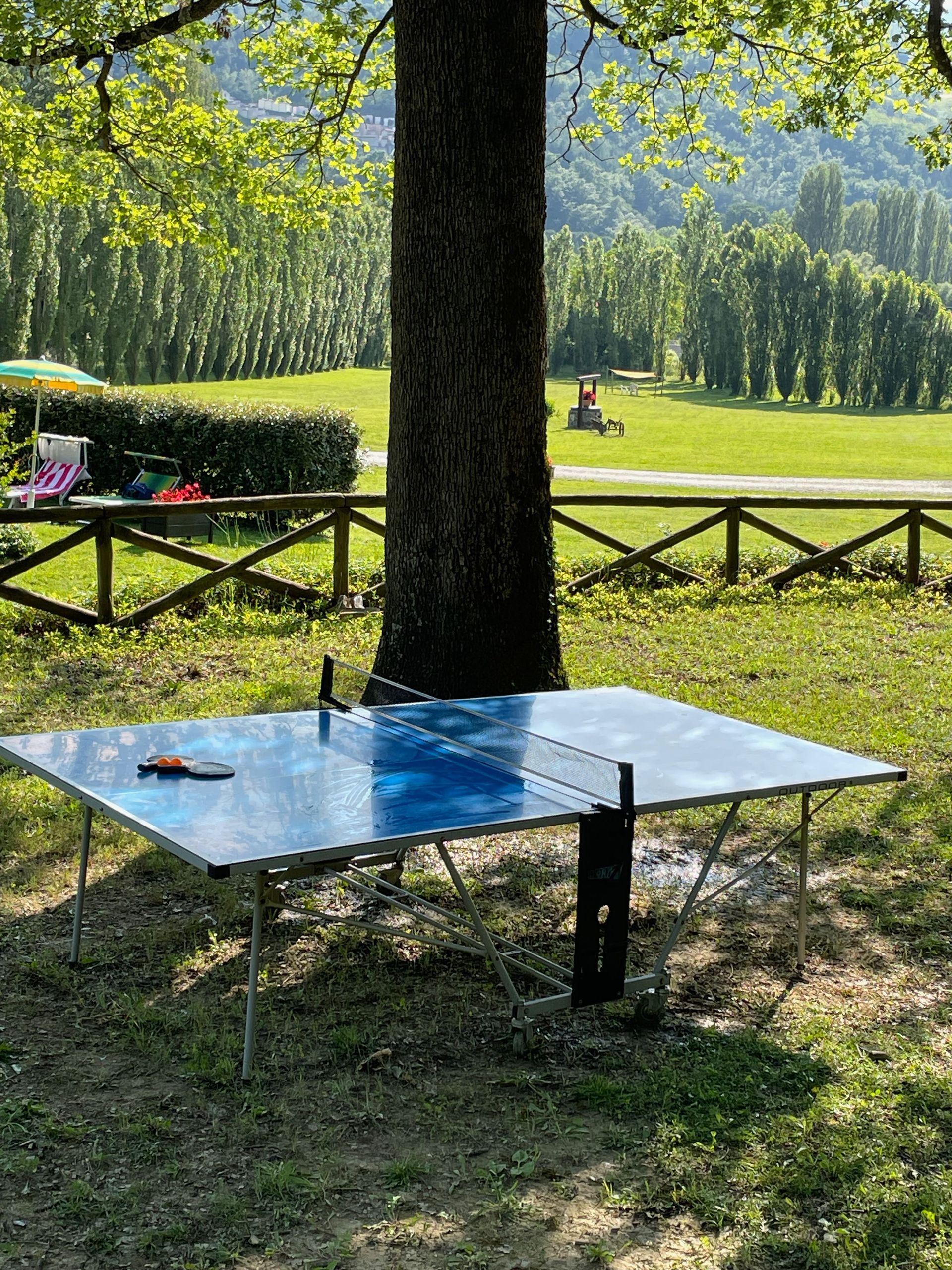 Tavolo ping pong