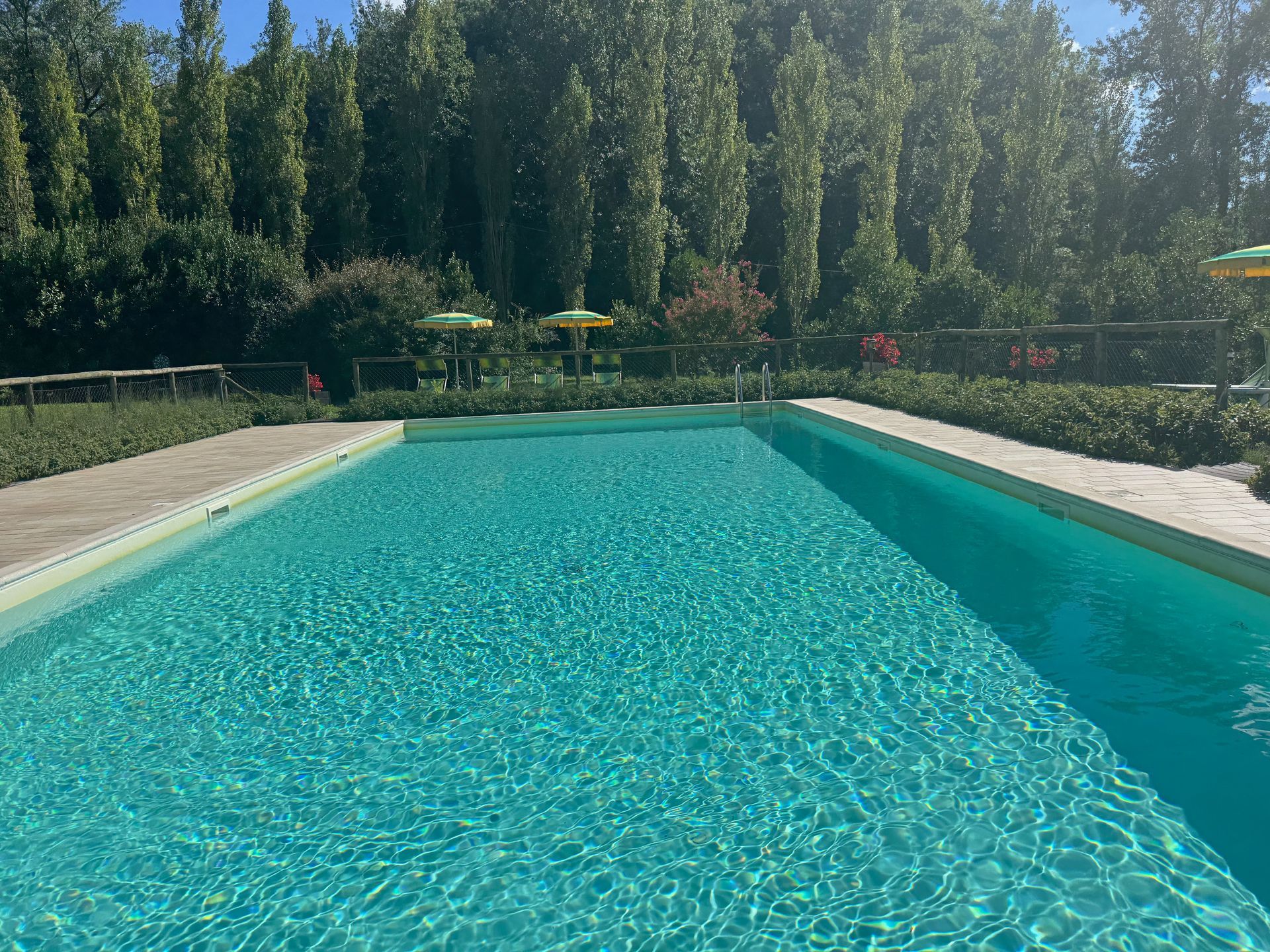 Piscina e alberi sullo sfondo.