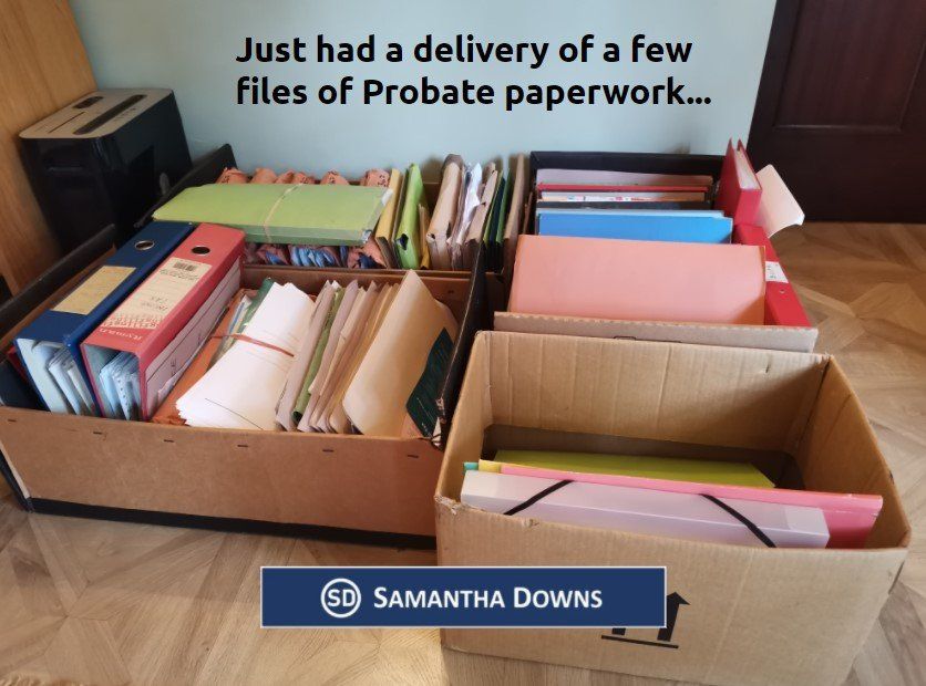 Samantha Downs Probate Files