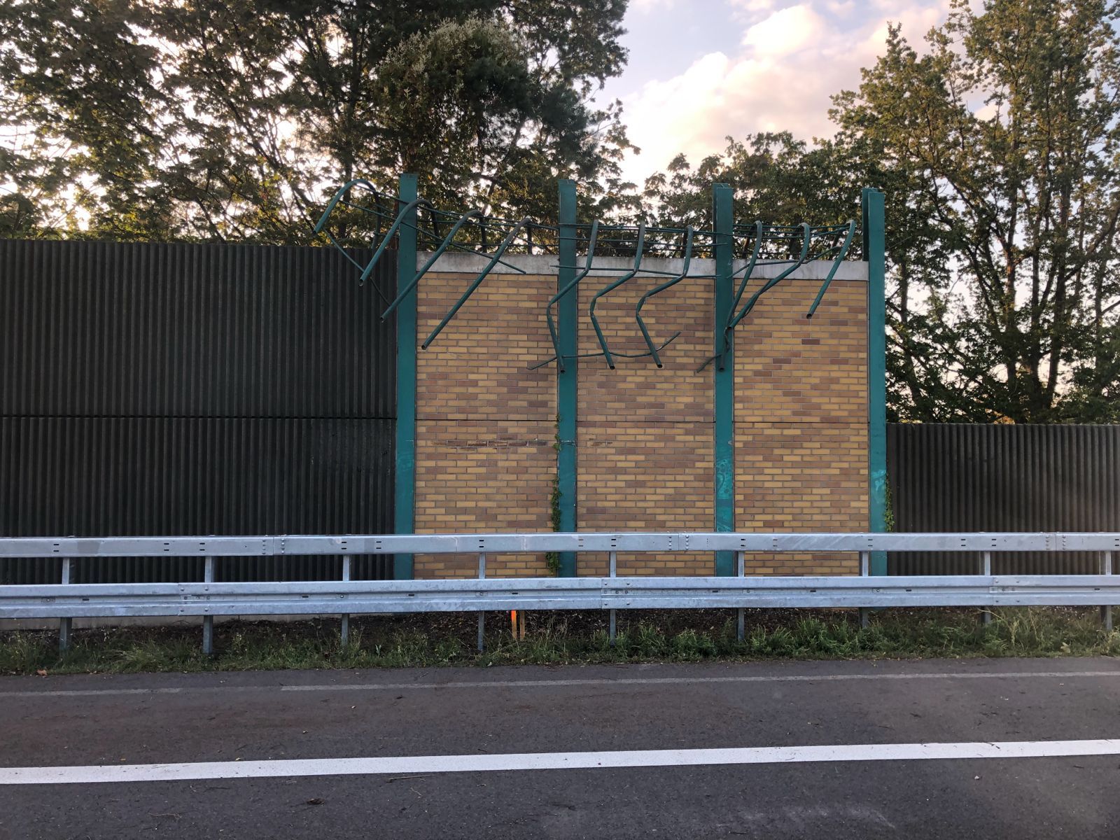 Ein Gebüsch das entfernt wird