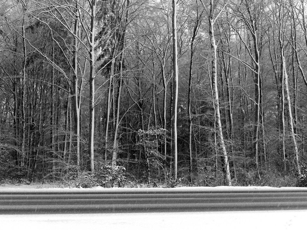Landschaftsgrafik in schwarz/weiß - Landstraße mit Schneefall, Winter 2020 Landschaftsgrafik in schwarz/weiß - Landstraße mit Schneefall, Winter 2020