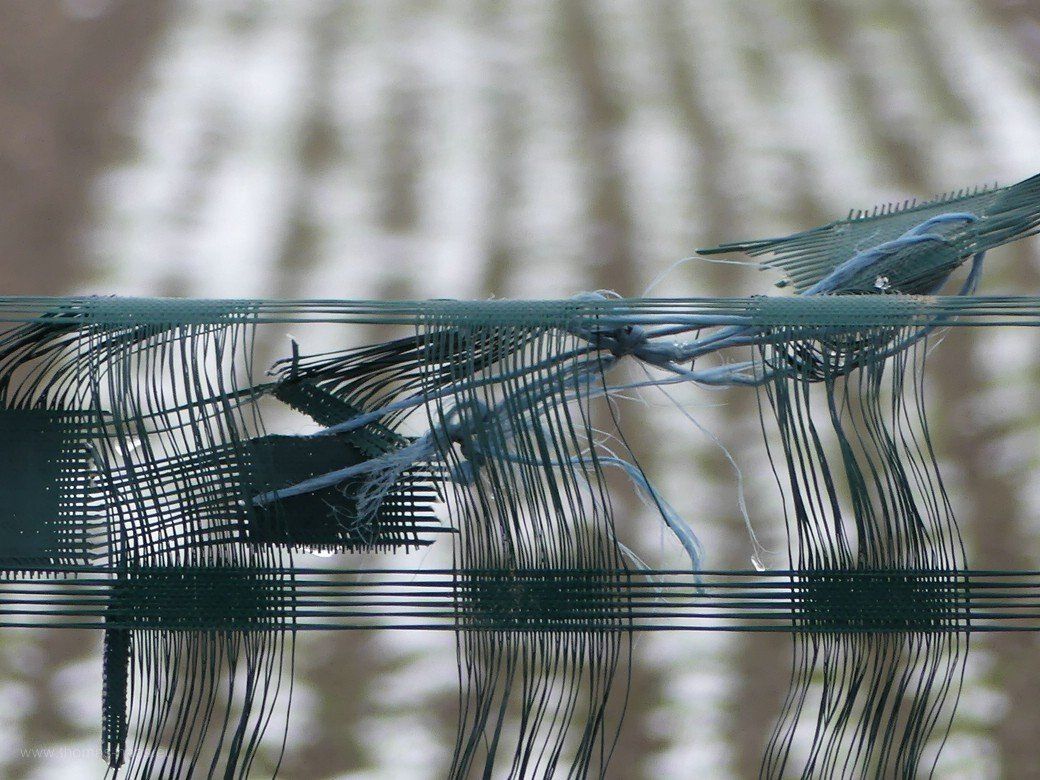 Schneefangzaun, Ulm, 2020 Schneefangzaun, Ulm, 2020