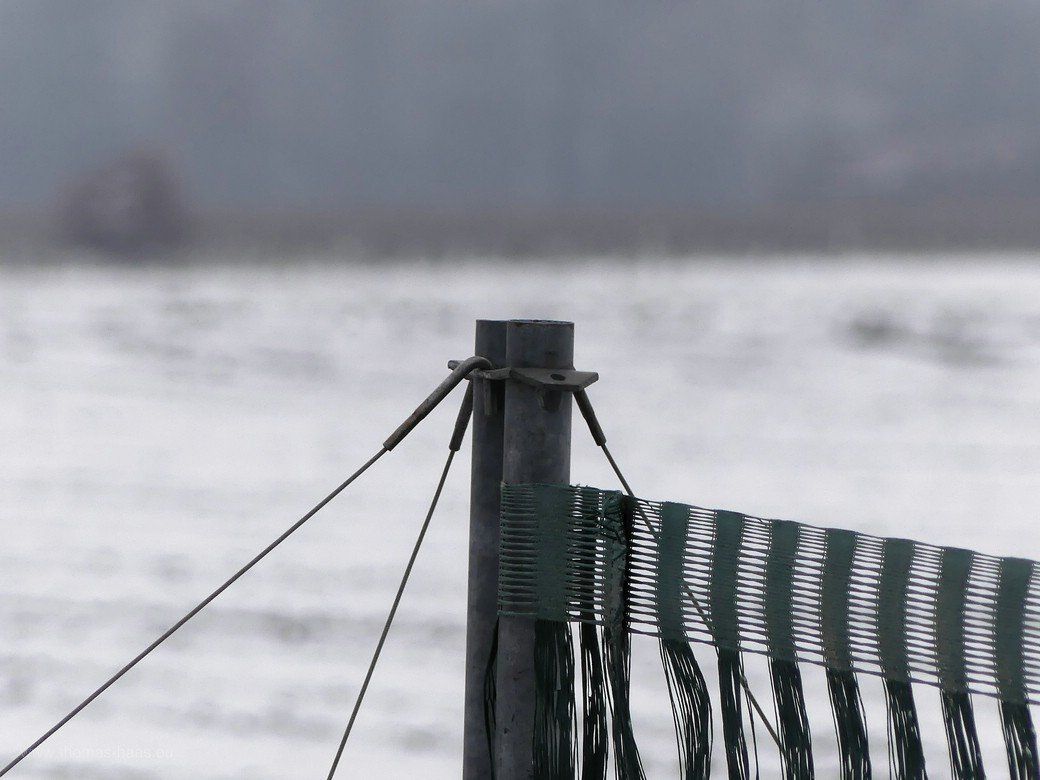 Die Landschaft und der Schneefangzaun, Winter 2020 Die Landschaft und der Schneefangzaun, Winter 2020