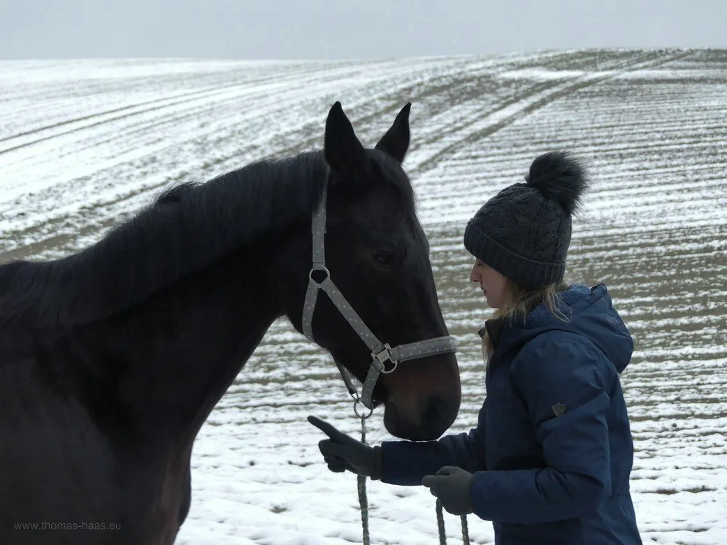 Winteraufnahme, Pferd und Besitzerin, 2020