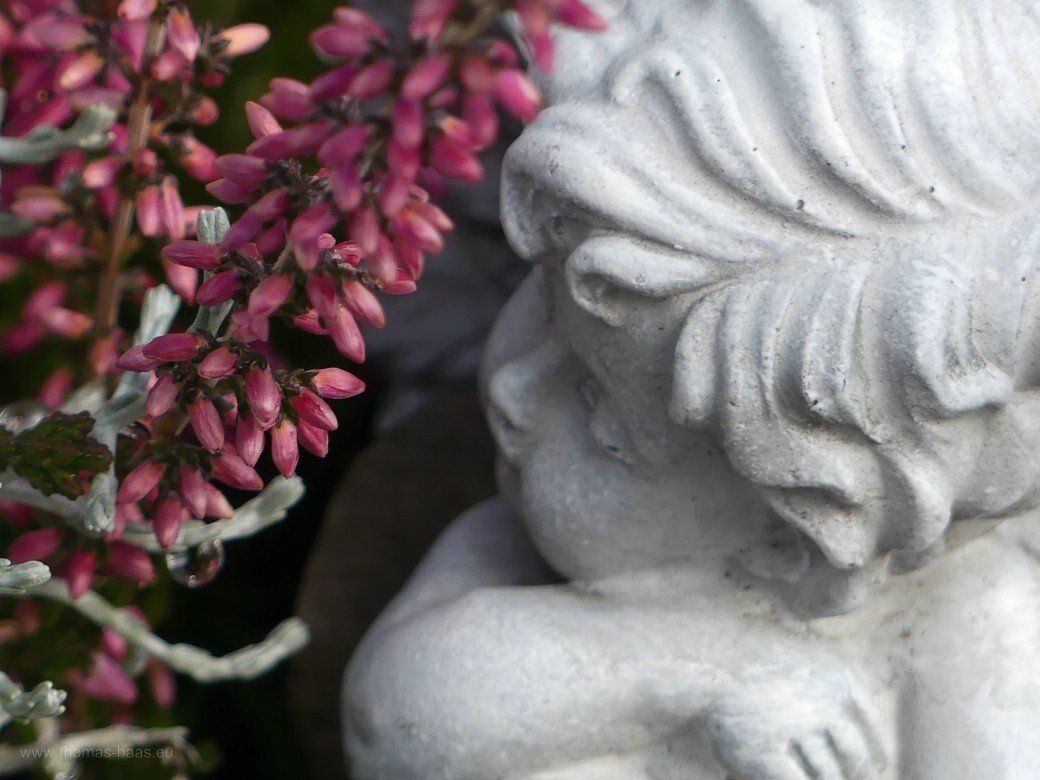 Winterheide und Engelchen, 2020 Winterheide und Engelchen, 2020