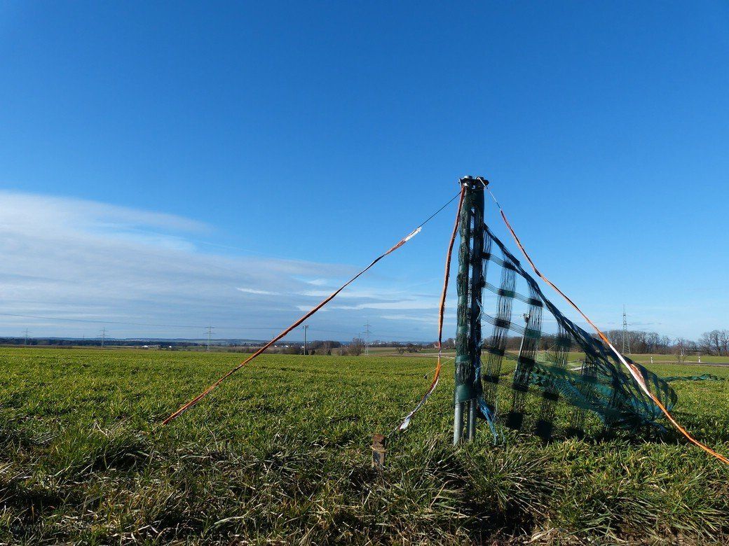 Schneefangzaun, hier im Moment arbeitslos... Schneefangzaun, hier im Moment arbeitslos...