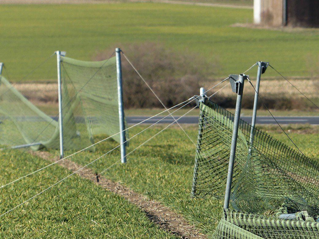 Abspannung, Schneefangzaun, 2020