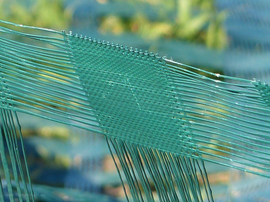 Schneefangzaun, 2020