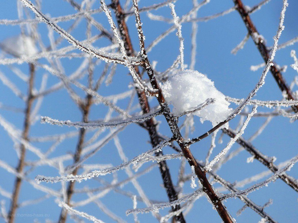 Wintertraum zum 4. Advent 2022 Wintertraum zum 4. Advent 2022