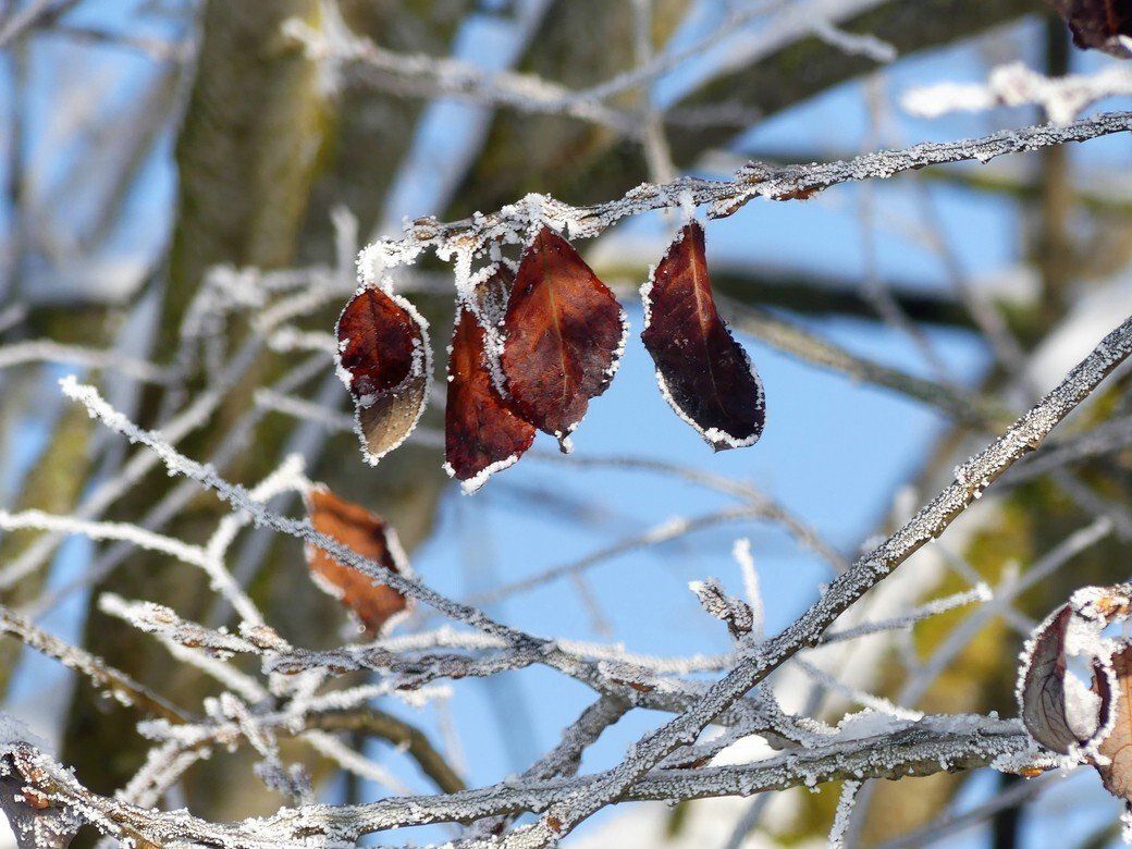 Wintertraum, Dezember 2022 Wintertraum, Dezember 2022