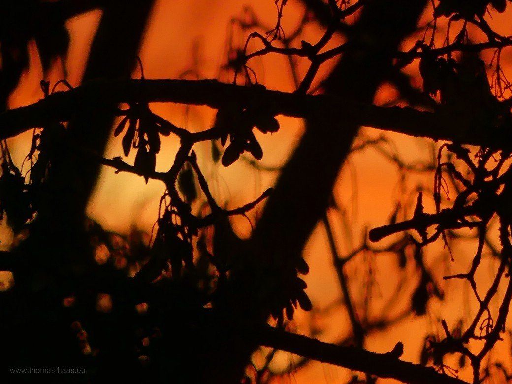 Aus dem Dachstudio: Abendrot am 1. Feiertag, 25.12.2022 Abendrot am 1. Feiertag, 25.12.2022