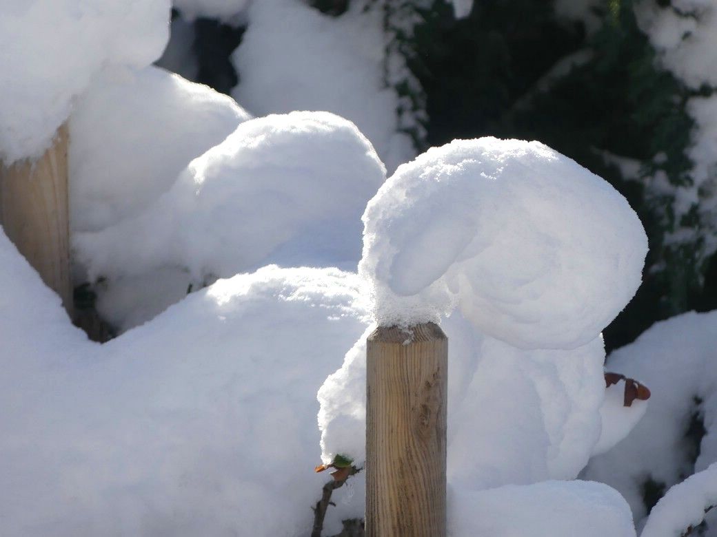 Schnee auf einem Zaunpfahl, ein Balanceakt, Dezember 2023 Schnee-Balanceakt auf einem Zaunpfahl, Dezember 2023