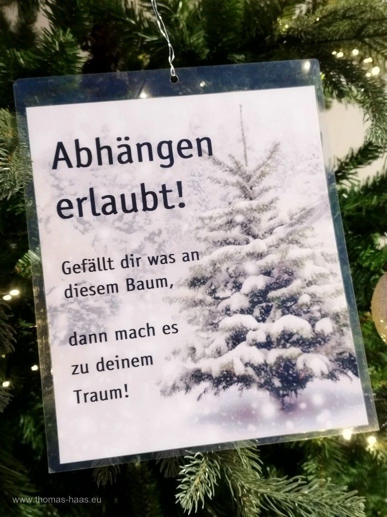 Entweihnachtung in der Gärtnerei... Entweihnachtung in der Gärtnerei...