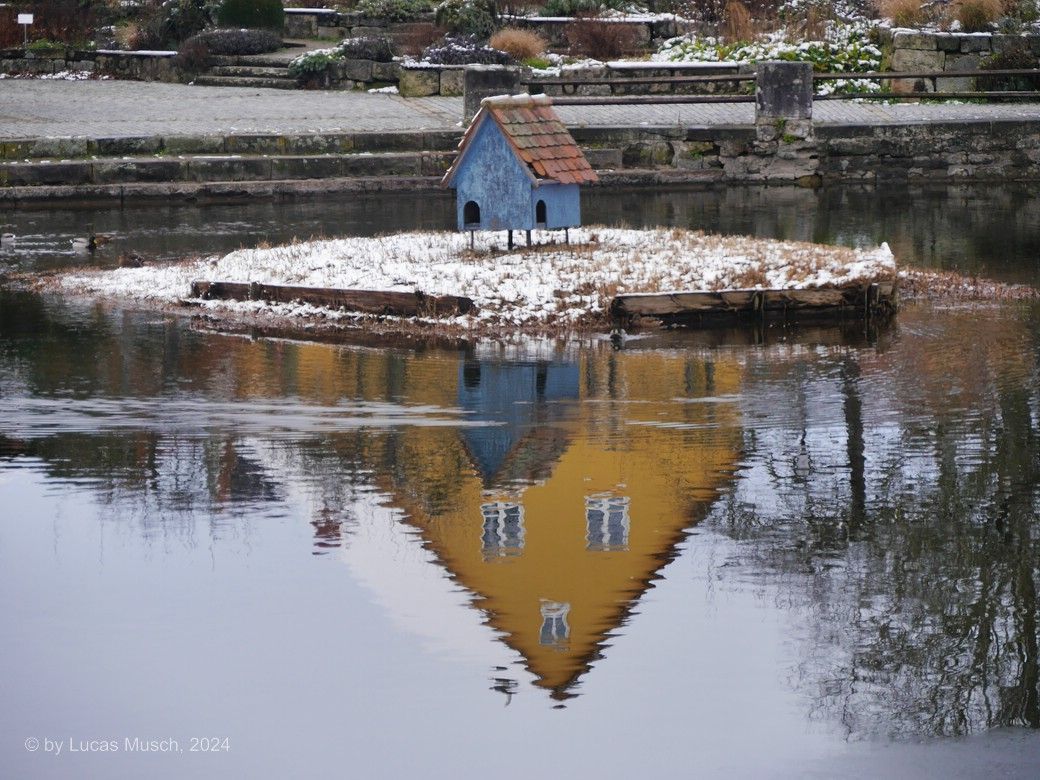 Spiegelung auf dem Rothenburger Weiher in DKB, Dezember 2024, © by Lucas Spiegelung auf dem Rothenburger Weiher in DKB, Dezember 2024, © by Lucas