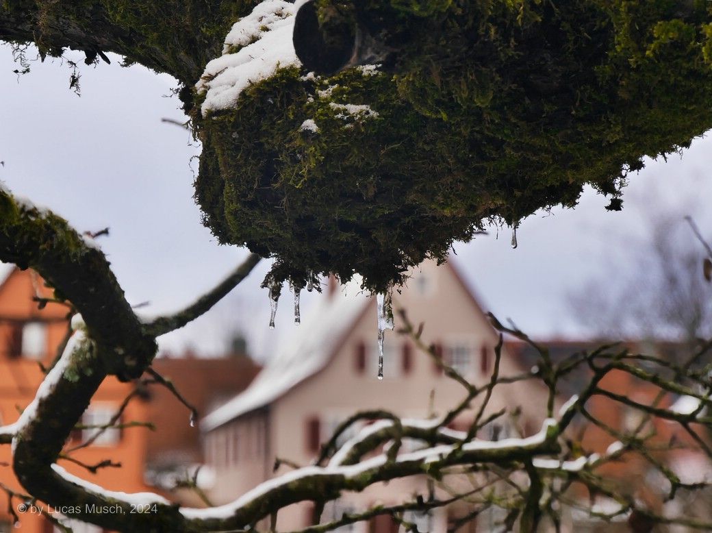Kleiner Eiszapfen mit der Stadt im Hintergrund, © by Lucas Kleiner Eiszapfen mit der Stadt im Hintergrund, © by Lucas