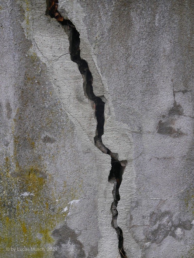 Riss im Pflanztrog, Detail, © by Lucas Riss im Pflanztrog, Detail, © by Lucas