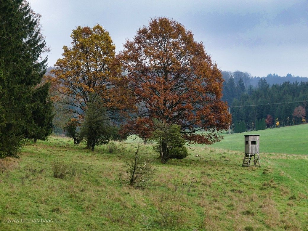 Unterwegs in der Ameisenstadt... Unterwegs in der Ameisenstadt...