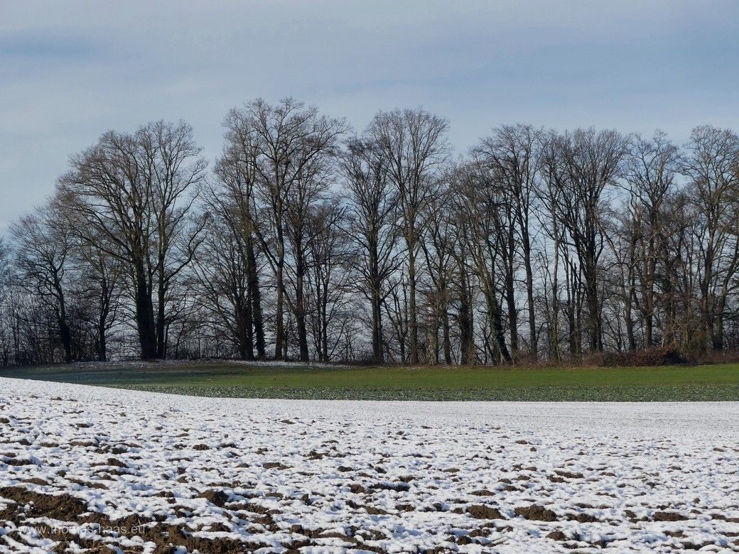 Auf der Hochebene - Bellenberg, 01.01.2025 Auf der Hochebene - Bellenberg, 01.01.2025
