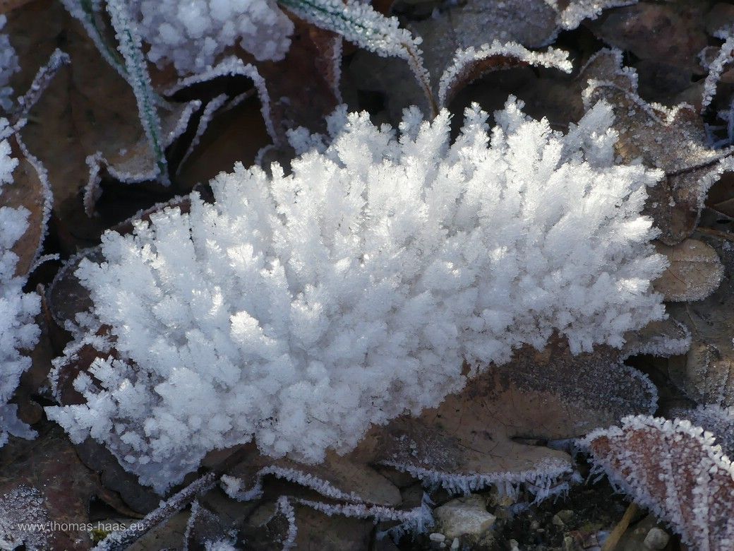 Schnee- und Eiskristalle - Bodenfrost... Schnee- und Eiskristalle - Bodenfrost...