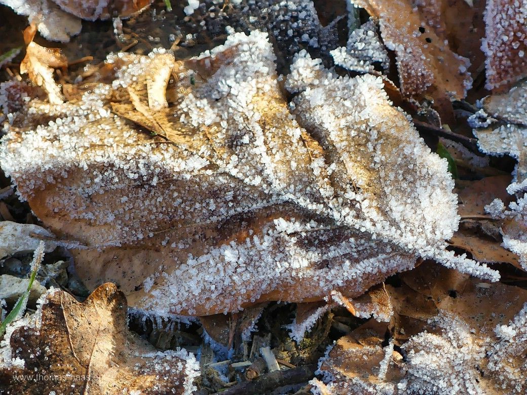 Schnee- und Eiskristalle - Bodenfrost... Schnee- und Eiskristalle - Bodenfrost...