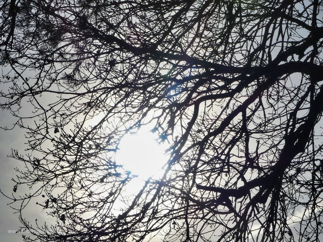 Die Sonne war auch da... Neujahrsmorgen, Bellenberg, 01.01.2025 Die Sonne war auch da... Neujahrsmorgen, Bellenberg, 01.01.2025