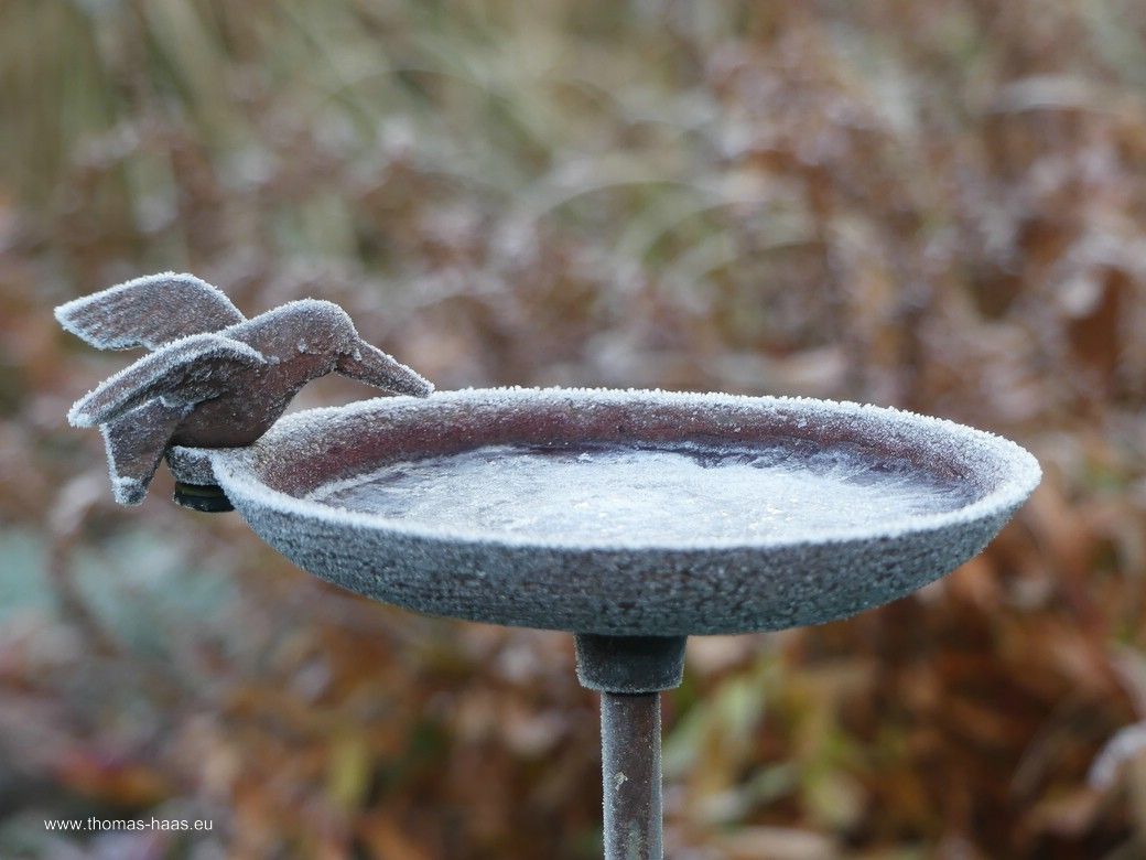 ...zugefrorene Vogeltränke im Garten!