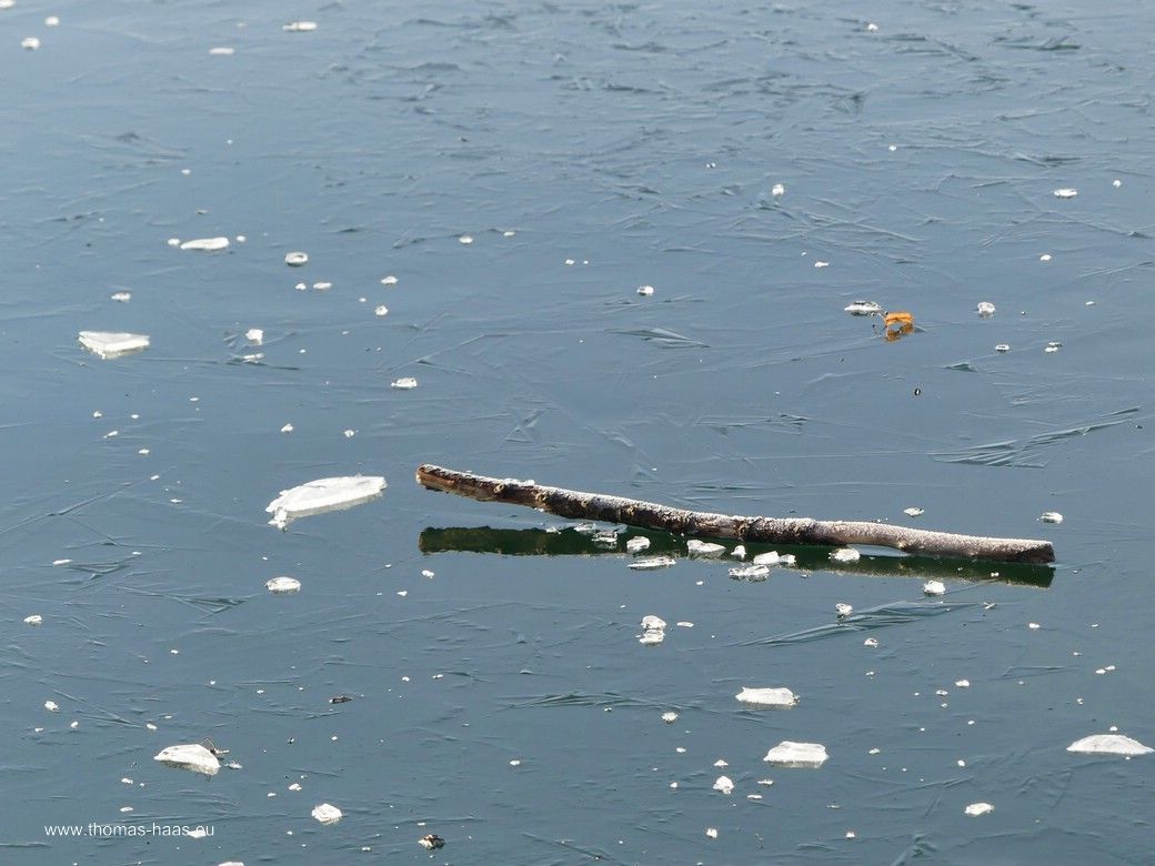 Baggersee, Au, 01.01.2026 - gefroren! Baggersee, Au, 01.01.2026 - gefroren!