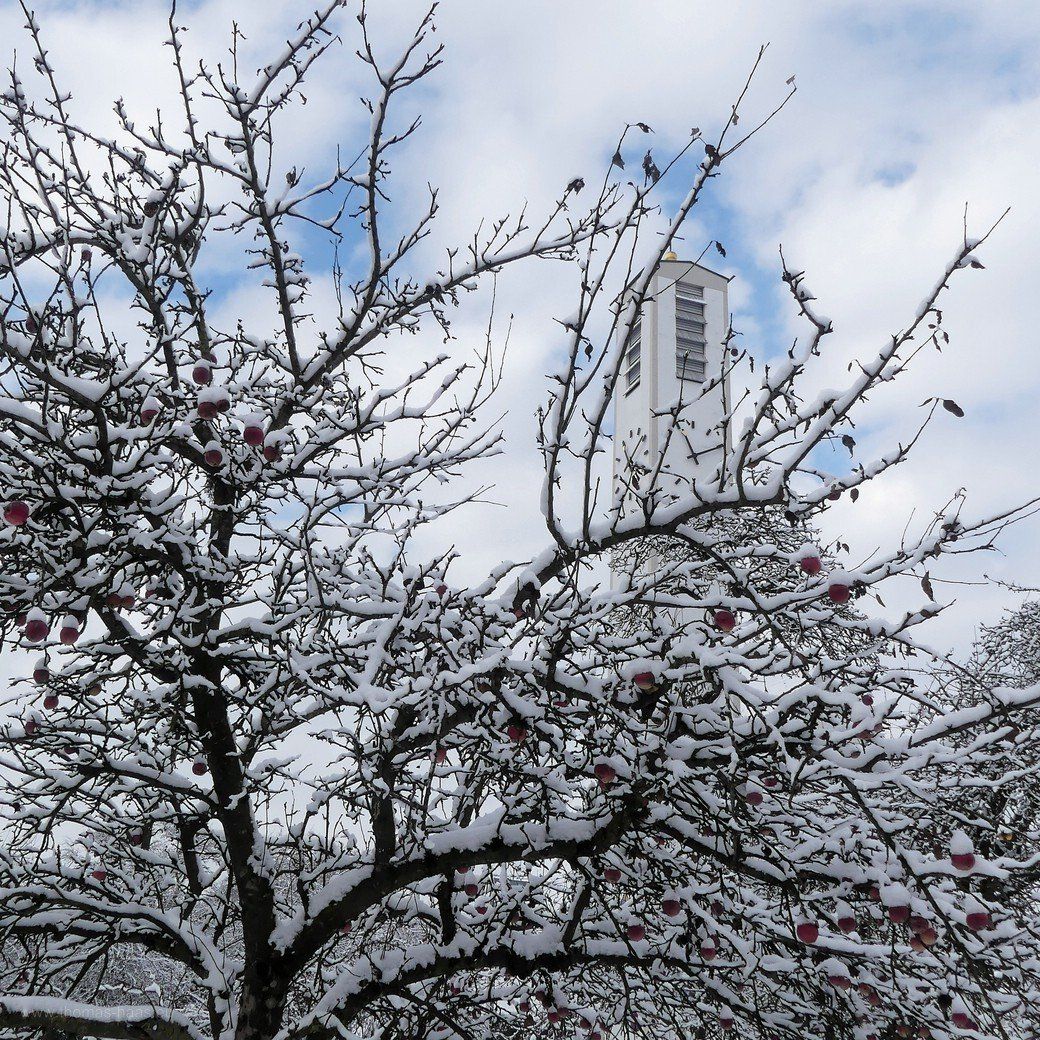 Winter in Bellenberg... 2021 Winter in Bellenberg... 2021